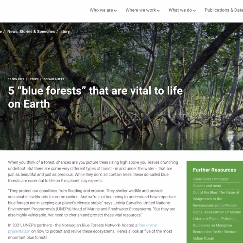 5 “Blue Forests” That are Vital to Life on Earth