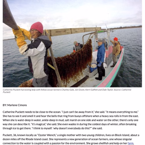 A New Generation of Ocean Farmers are Reducing Pollution with Seaweed