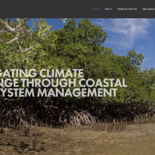 The Blue Carbon Initiative