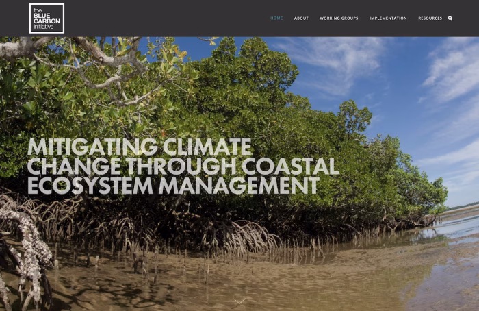 The Blue Carbon Initiative