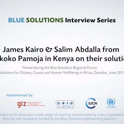Blue Carbon Offsetting for Community Benefits in Kenya