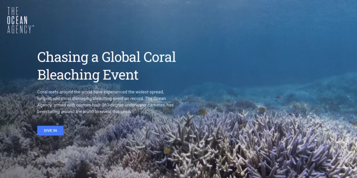 Chasing a Global Coral Reef Bleaching Event