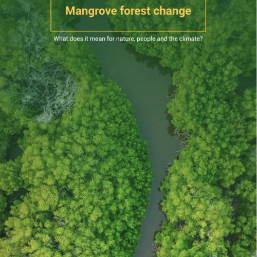 Decades of Mangrove Forest Change: What does it mean for nature, people and the climate?