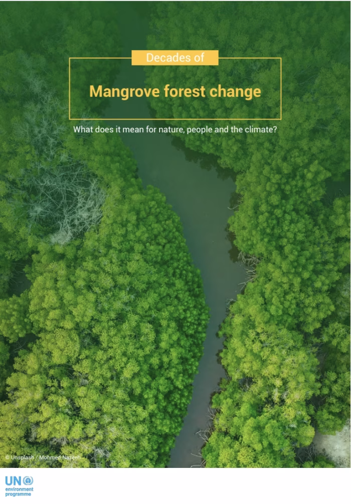 Decades of Mangrove Forest Change: What does it mean for nature, people and the climate?