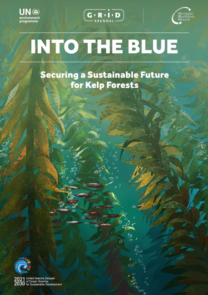 Into the Blue: Securing a Sustainable Future for Kelp Forests
