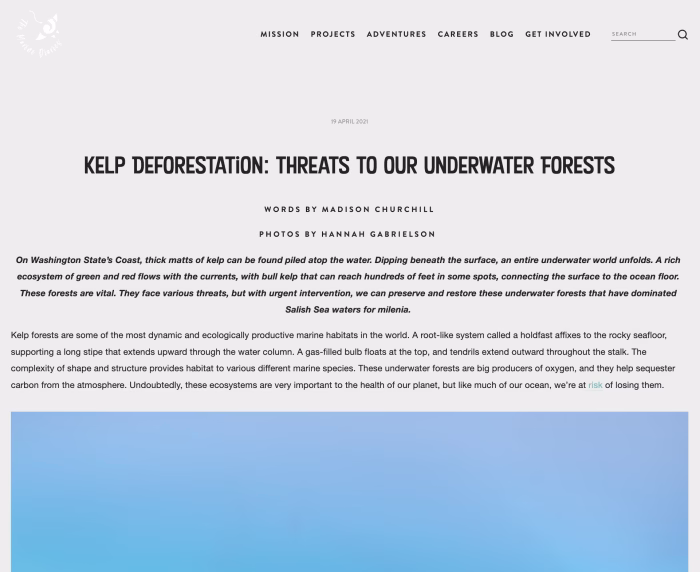 Kelp Deforestation: Threats to our Underwater Forests