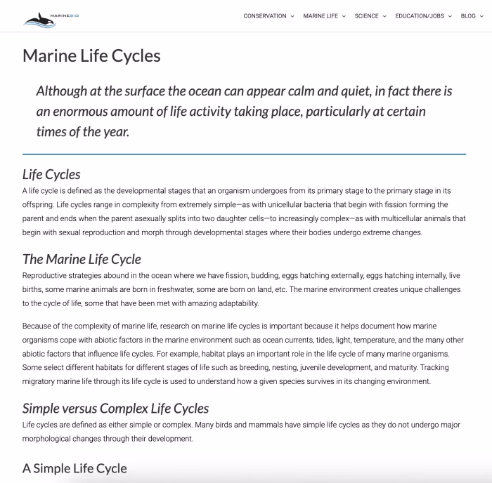 Marine Life Cycles