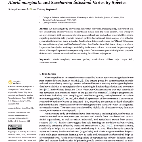 Nitrogen and Carbon Removal Capacity by Farmed Kelp Alaria marginata and Saccharina latissima Varies by Species