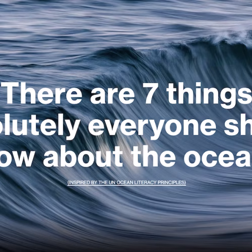 Our Incredible Ocean