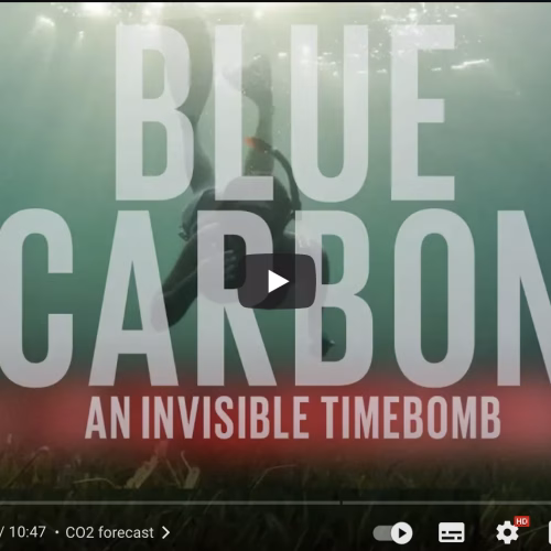 Ocean Carbon Dioxide levels. An invisible time bomb?