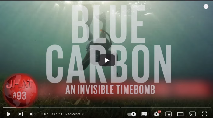 Ocean Carbon Dioxide levels. An invisible time bomb?