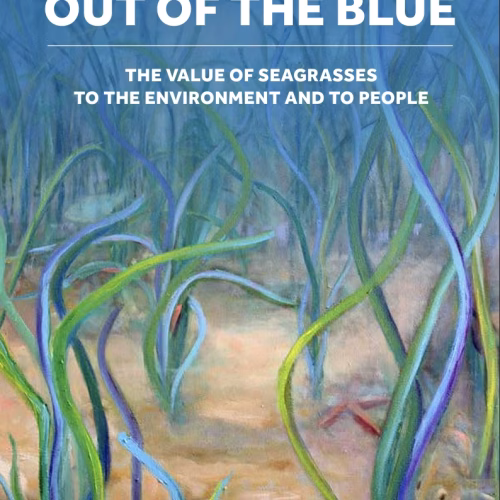 Out of the Blue: The value of seagrasses to the environment and to people.