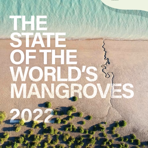 The State of the World’s Mangroves 2022