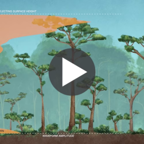 The Carbon Cycle - Essential for Life on Earth