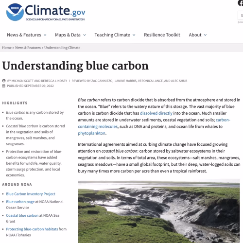 Understanding Blue Carbon