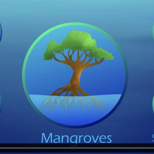 What are Blue Forests?