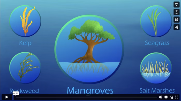 What are Blue Forests?