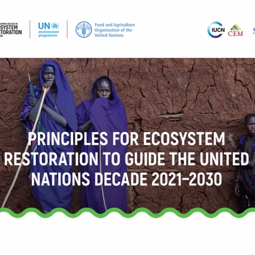 Principles for Ecosystem Restoration to Guide the United Nations Decade 2021–2030