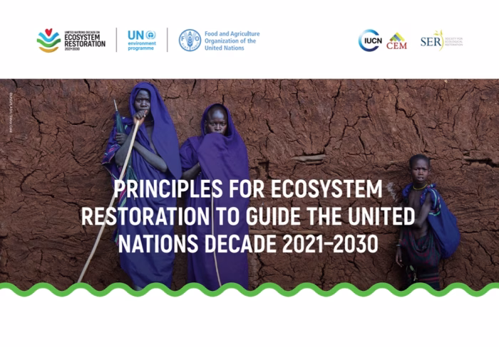 Principles for Ecosystem Restoration to Guide the United Nations Decade 2021–2030