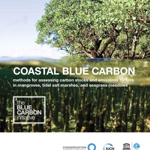 Blue carbon manual - Guidelines for estimating blue carbon stocks