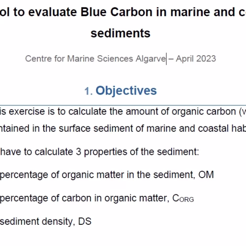 Blue Carbon Protocol