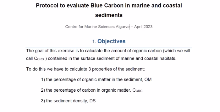 Blue Carbon Protocol
