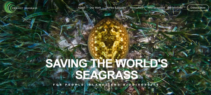 Project Seagrass