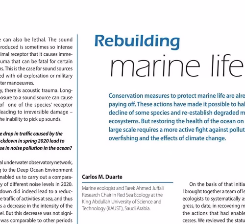Rebuilding Marine Life