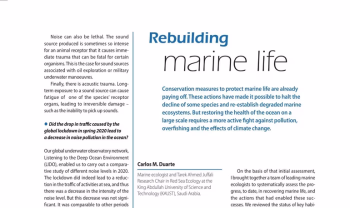 Rebuilding Marine Life