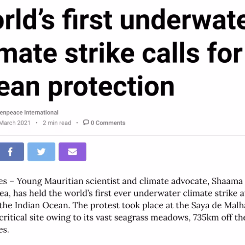 World’s first underwater climate strike calls for ocean protection