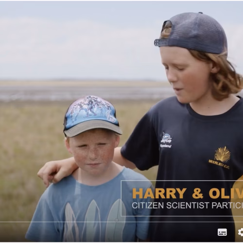 Wetland Restoration Citizen Science Program
