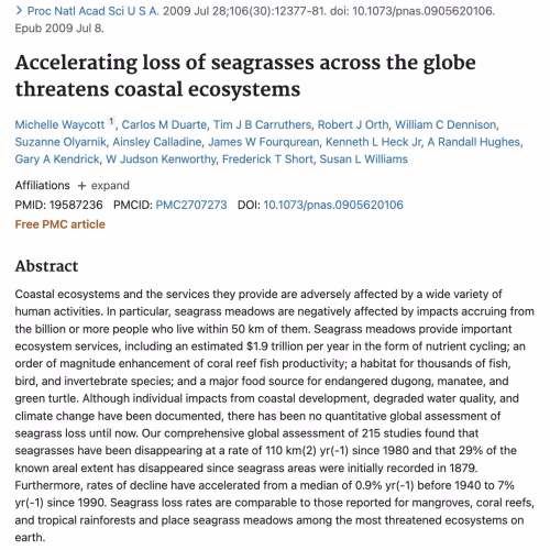 Accelerating Loss of Seagrasses Across the Globe Threatens Coastal Ecosystems