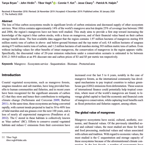 Blue Carbon Conservation in West Africa: A first assessment of feasibility