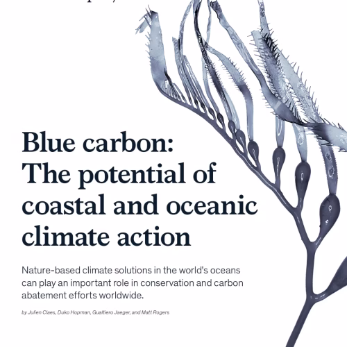 Blue Carbon: The potential of coastal and oceanic climate action