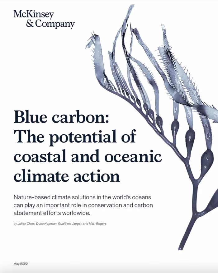 Blue Carbon: The potential of coastal and oceanic climate action