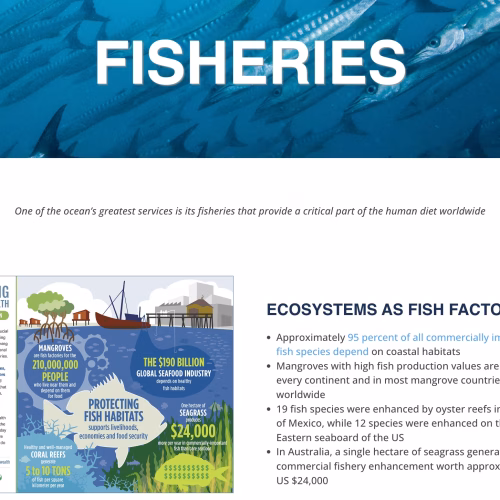 Ecosystems as Fish Factories