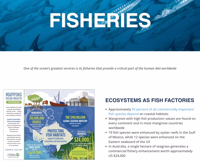 Ecosystems as Fish Factories