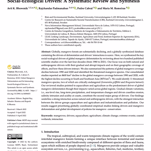 Global Mangrove Deforestation and Its Interacting Social-Ecological Drivers: A Systematic Review and Synthesis
