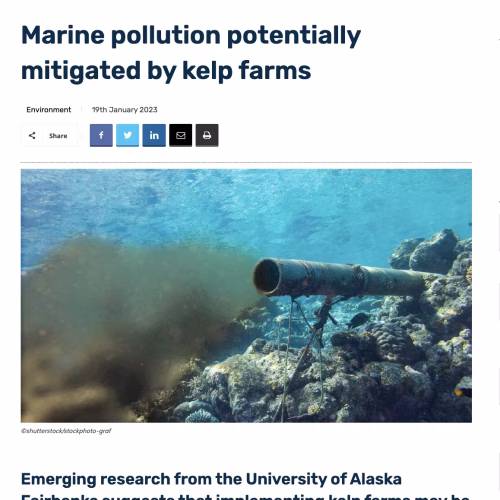 Marine Pollution Potentially Mitigated by Kelp Farms