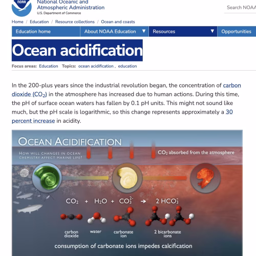 Ocean Acidification