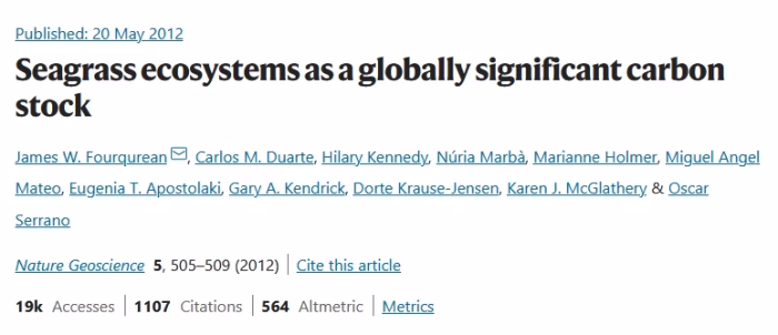 Seagrass ecosystems as a globally significant carbon stock