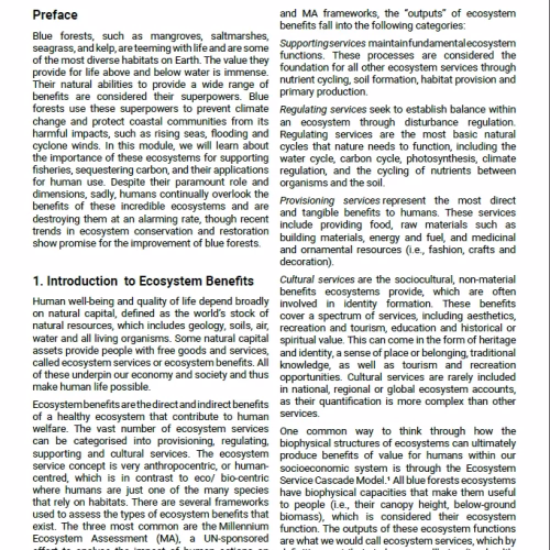 Module 3: Blue Forests Superpowers (PDF)