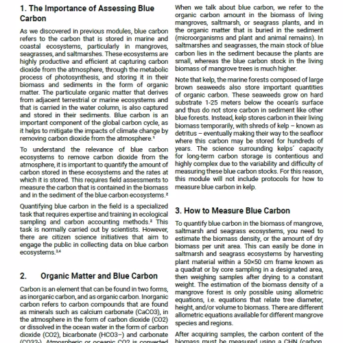 Module 4: Blue Carbon Fieldwork (PDF)