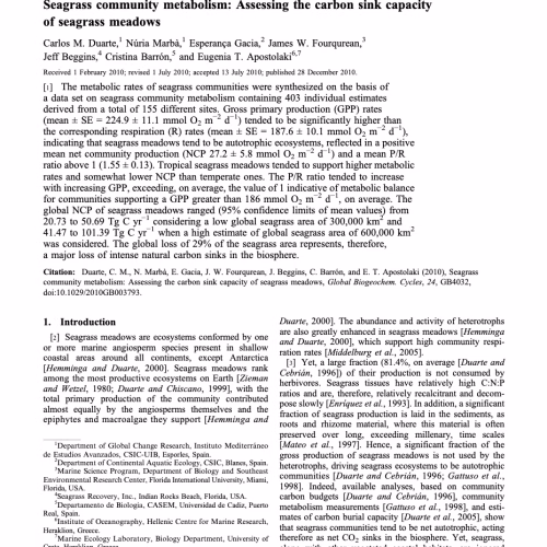 Seagrass Community Metabolism: Assessing the carbon sink capacity of seagrass meadows