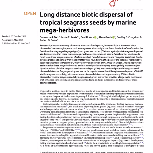 Long Distance Biotic Dispersal of Tropical Seagrass Seeds by Marine Mega-herbivores