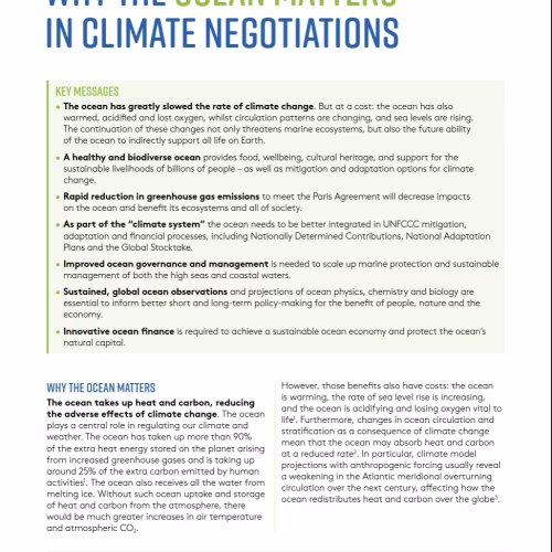 Why the Ocean Matters in Climate Negotiations
