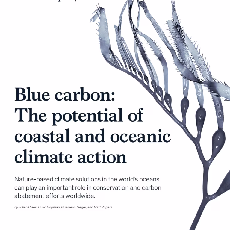 Blue Carbon: The potential of coastal and oceanic climate action. Claes et al., 2022