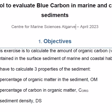 BlueCarbonProtocol.avif