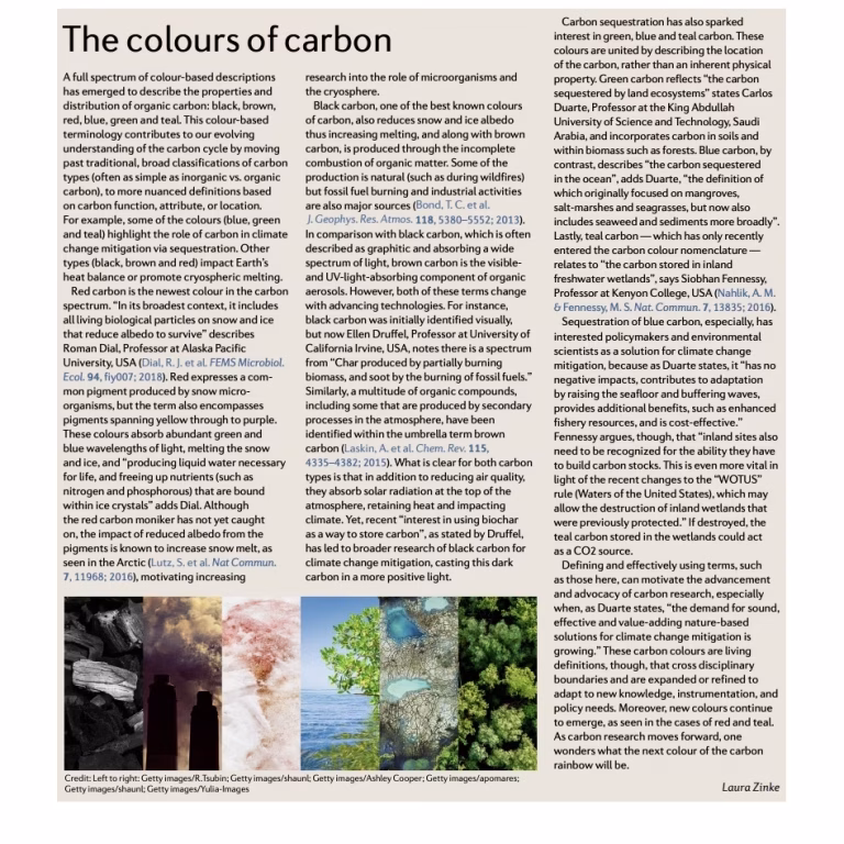 The Colours of Carbon, Laura Zinke (2020).