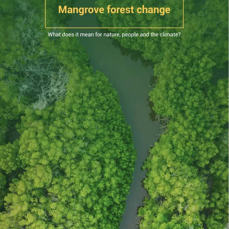 Decades of Mangrove Forest Change: What Does it Mean for Nature, People and the Climate? (2023). United Nations Environment Programme